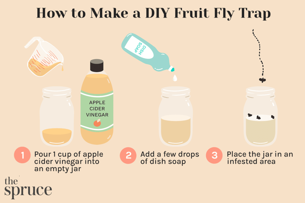 How To Get Rid of Fruit Flies